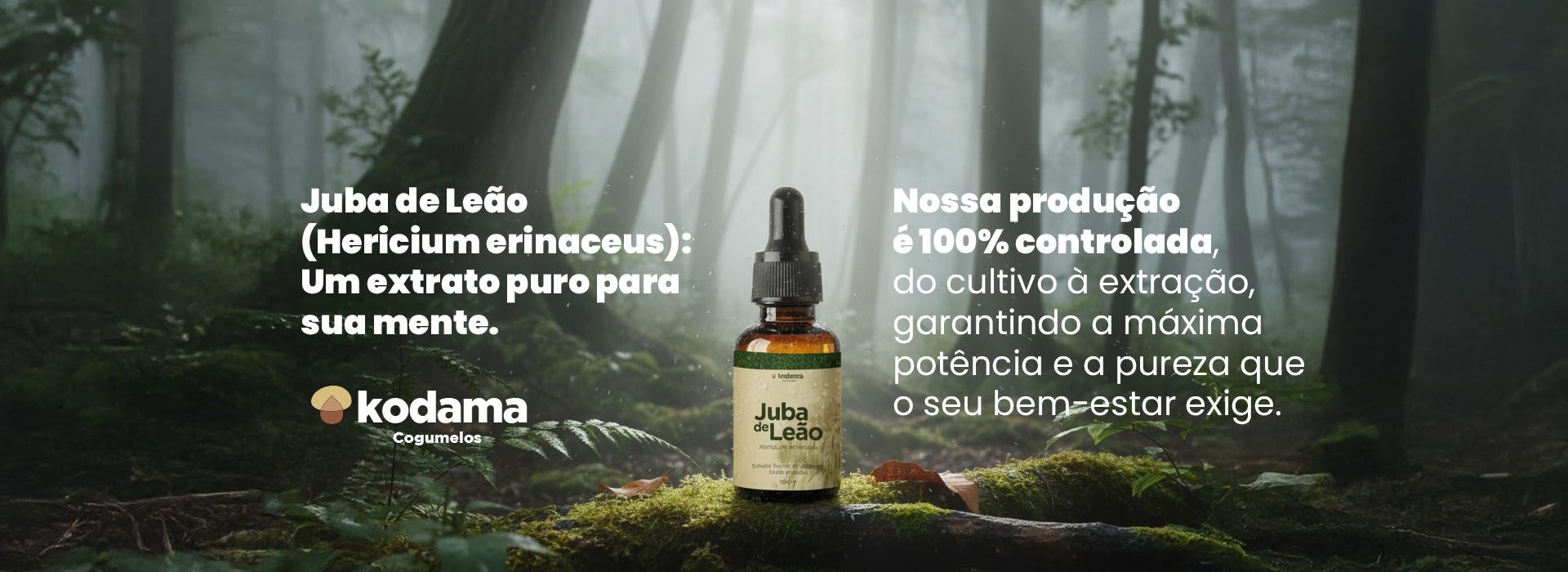 Juba de Leão — Extrato Líquido de Hericium erinaceus