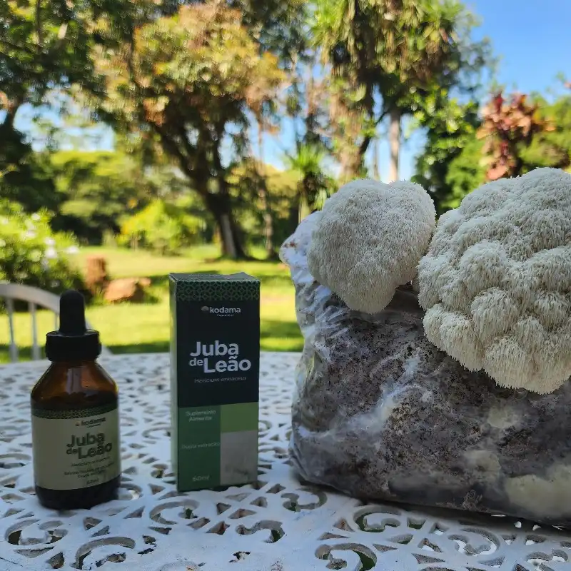 Extrato Líquido de Juba de Leão Kodama — frasco 60ml com cogumelo Hericium erinaceus cultivado em Goiânia